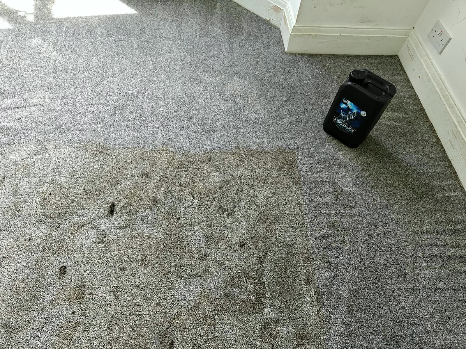 Carpet half cleaned — the difference in one pass