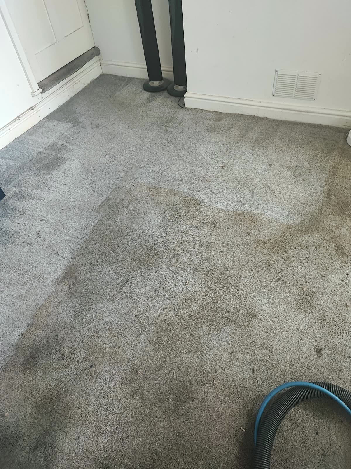 Hot water extraction on a grey bedroom carpet
