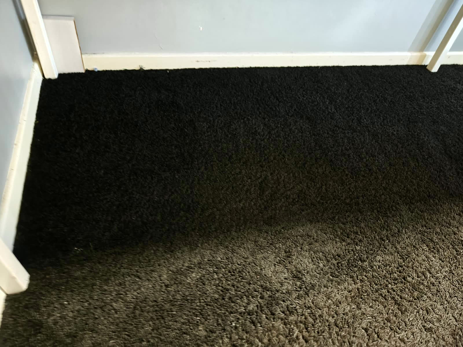 Dark bedroom carpet after cleaning