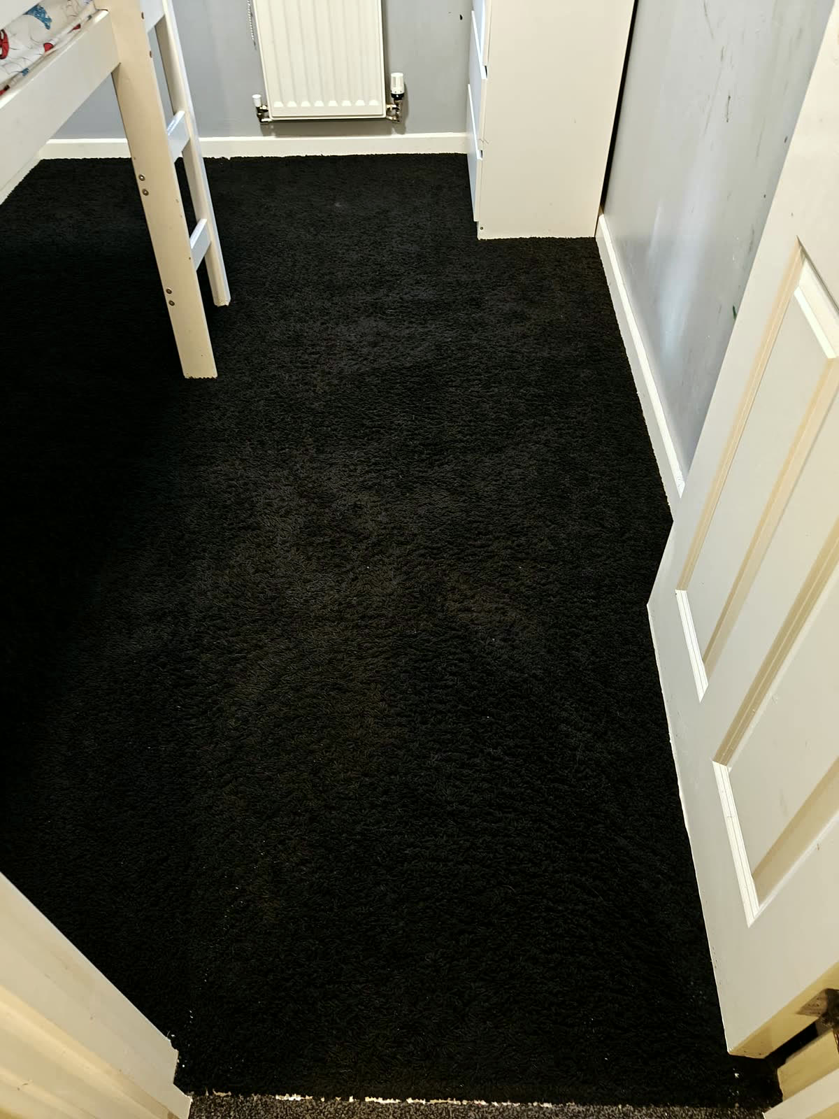 Black shaggy carpet after cleaning