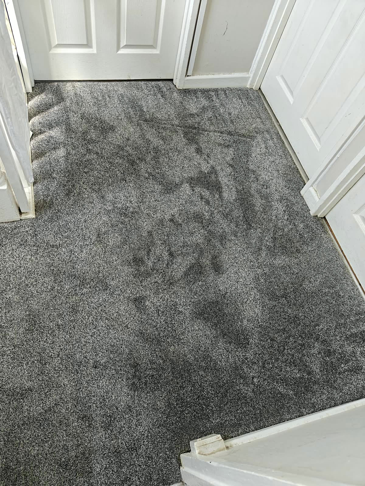Hallway carpet after cleaning