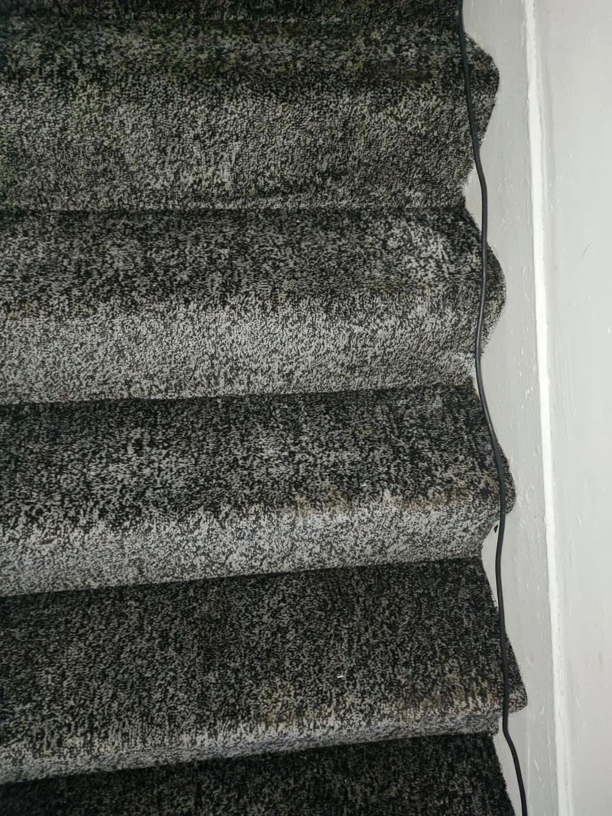 Dark stair carpet after cleaning