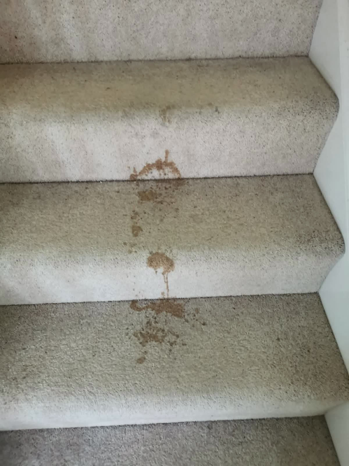 Stairs — Before