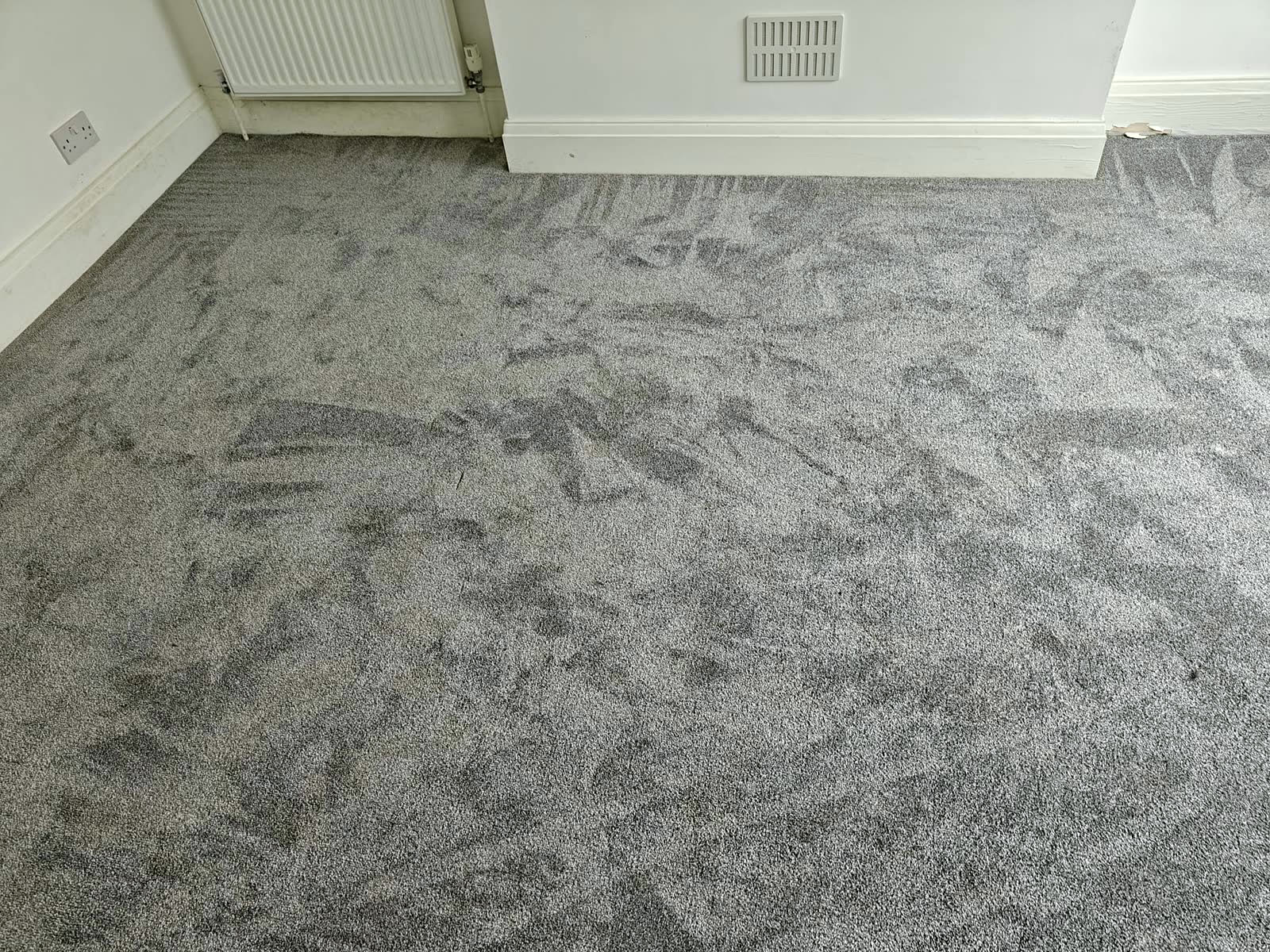 A living room carpet after a hot water extraction clean